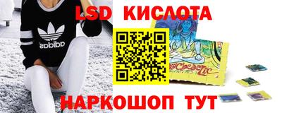 ГАЛЛЮЦИНОГЕННЫЕ ГРИБЫ Берёзовский