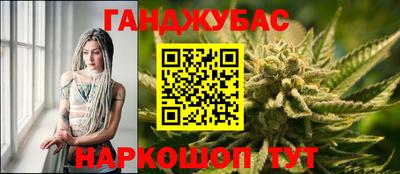 крисы Беслан