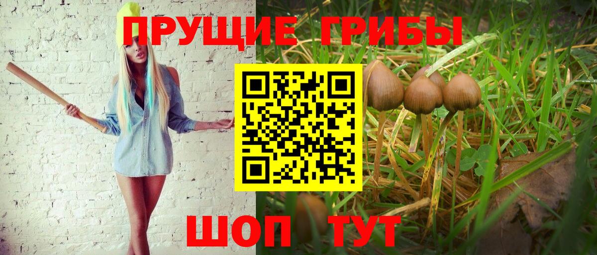 Галлюциногенные грибы мицелий Избербаш